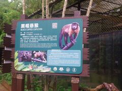 -海南热带野生动植物园