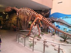 -陕西自然博物馆