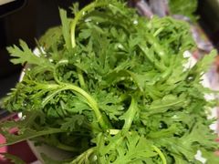 -九鼎轩脆毛肚火锅(三钢里店)