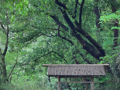 -兰亭风景区