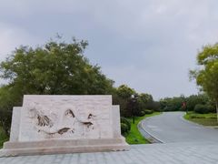-水西公园