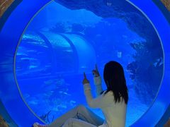-临沂极地海洋王国