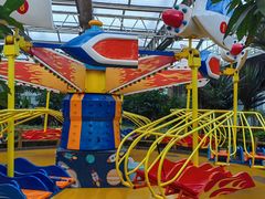 -南宫五洲植物乐园