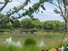 -嘉北郊野公园
