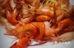 Freshwater Shrimp