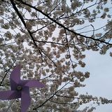 南京打卡#景区#