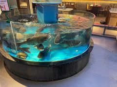 -魏铭鱼头捞饭(晋阳路店)