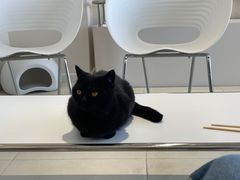 -怪兽屋·羊驼·猫咖·狗咖(俊华广场店)