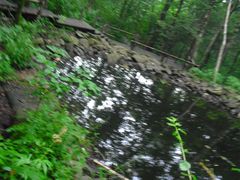 -五营红松林海景区