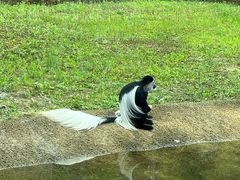 -杭州野生动物世界