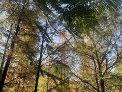 景点-广州珠江公园