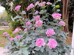 -人民公园(罗湖区)