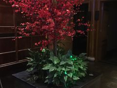 -碧露轩·大益茶体验馆(镇江路店)