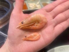 -梨花自助烤肉(西三旗万象汇黑金店)