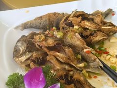 -西江河鲜·趣苑酒楼(鼎湖牌坊店)