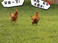 -春风习习