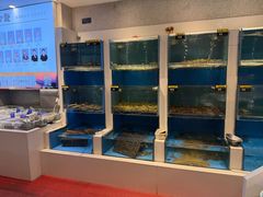 -赶海部落海鲜城(海阳路店)