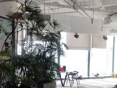 -大视光学•LINDBERG林德伯格•全球手工眼镜集合店(王府井店)