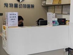 -宠物星动物医院·眼科·异宠·猫科(江南大道总院)