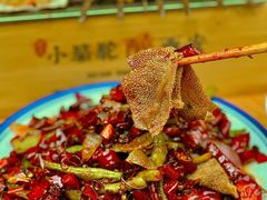-福苗小骆驼烧烤(莲湖路店)