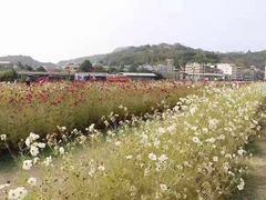 -驳二艺术特区