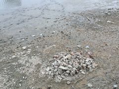 -南宁南湖公园