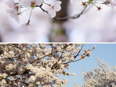 -上海辰山植物园