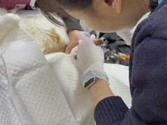 -美联众合动物医院·24h转诊中心