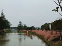 -嘉北郊野公园