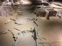 -洛阳周王城天子驾六博物馆