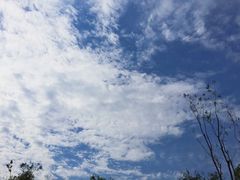 -螺小胖柳州螺蛳粉(钟楼总店)