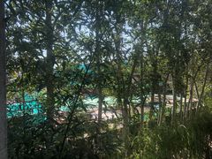 -春晖园度假酒店温泉