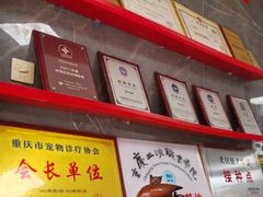 -瑞鹏瑞爱宠物医院·全科·猫科·血液透析中心(龙头寺店)