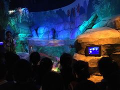 -沈阳海洋探索中心