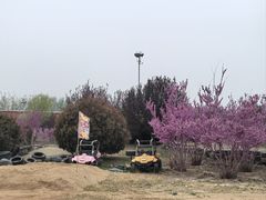 -泉城欧乐堡梦幻世界