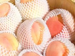 -老袁家蜜桃农场·阳山水蜜桃