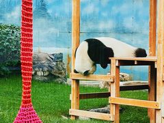 -鄂尔多斯野生动物园