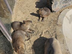 -茅山东方盐湖城景区