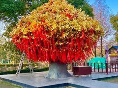 -狼山风景名胜区