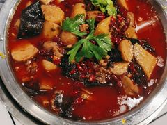 -晓彭肥肠鸡·泡椒鸡火锅(水木天地店)
