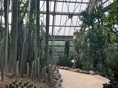 -南山植物园