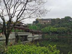 -重庆彩云湖湿地公园