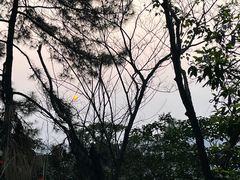 -火炉山森林公园