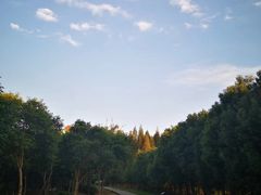 -南湖湿地公园