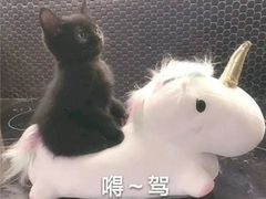 -海底捞火锅(银泰中心店)