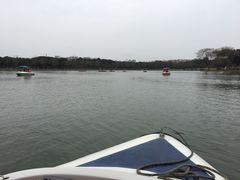 -昆山城市生态森林公园