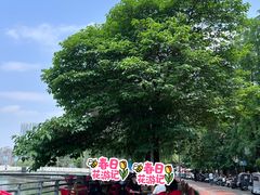 -听香·678茶铺(猛追湾店)