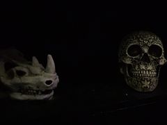 -逃脱反斗城沉浸剧情密室(北京路店)