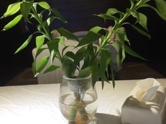 -北京盈之宝宝马&MINI4S店(望京店)