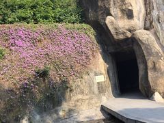 -鸿山公园